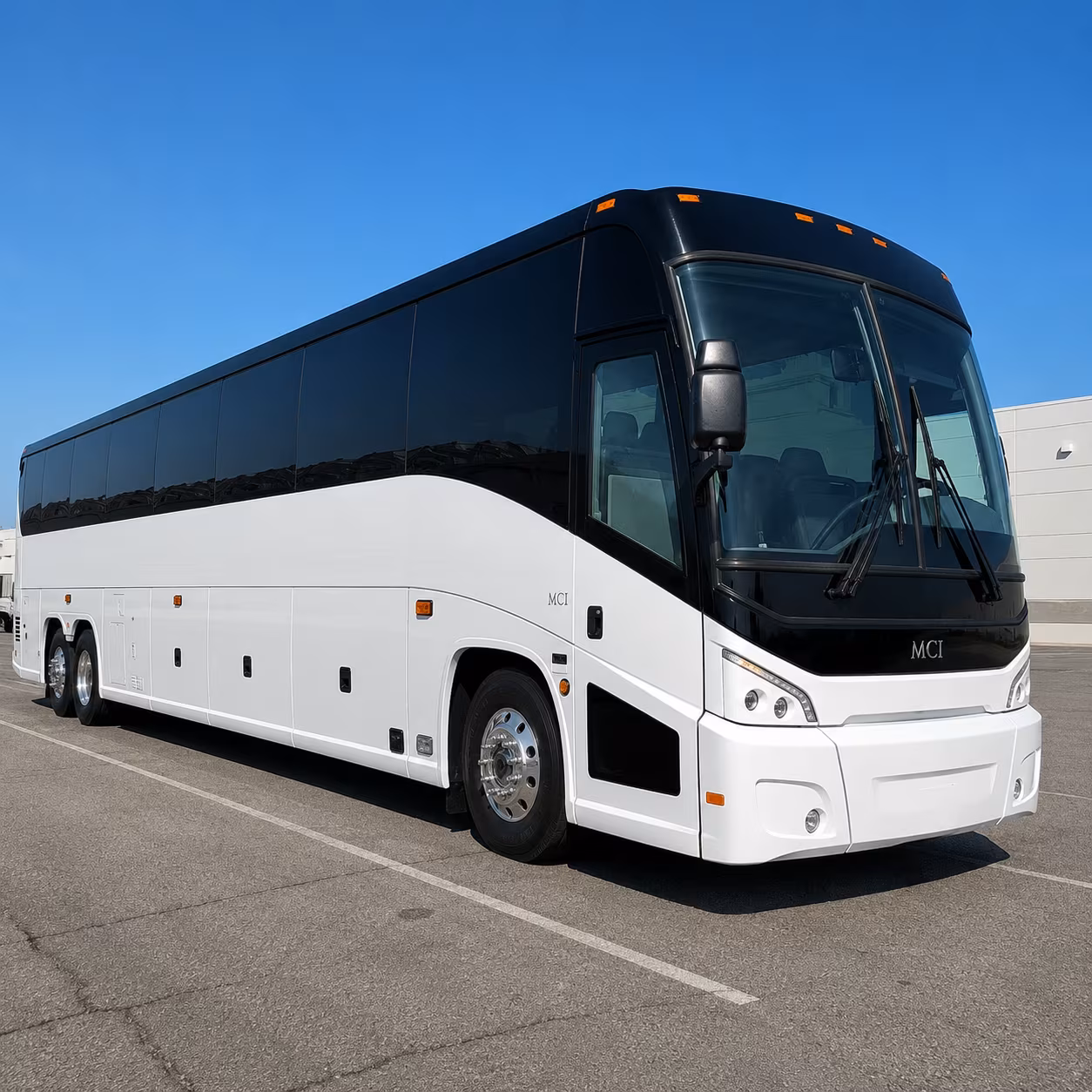 roots n blues festival buses for the whole weekend