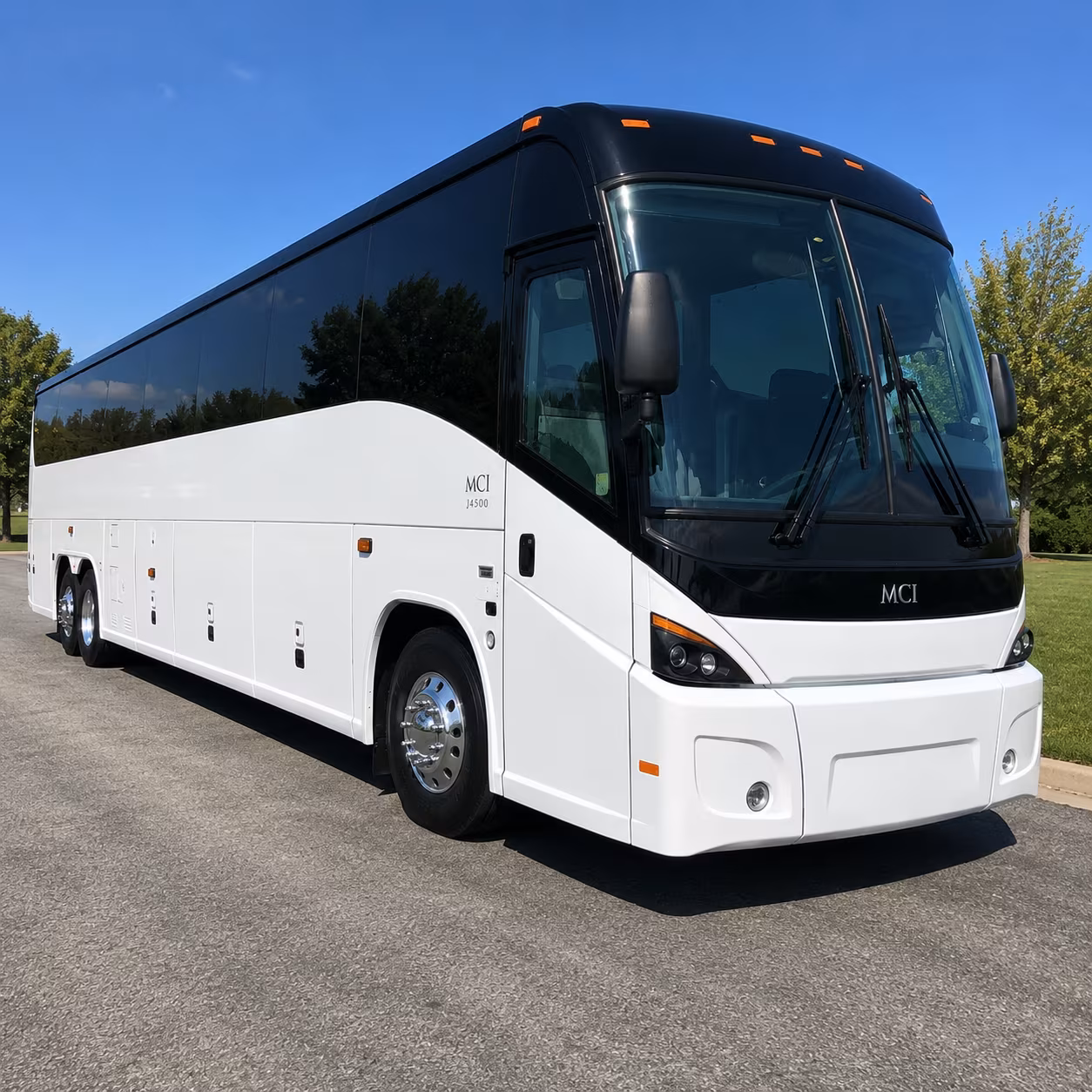 true false film festival and peak season airport transfers
